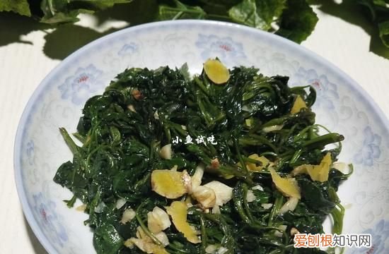 此菜被誉为天然养胃菜 这菜1元1斤却是天然养胃菜