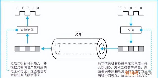 光纤原来长这样,光纤的通信原理你知道吗