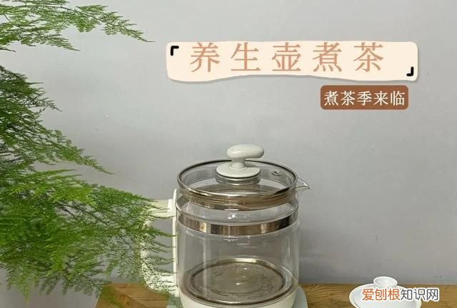 煮老白茶哪种壶最好