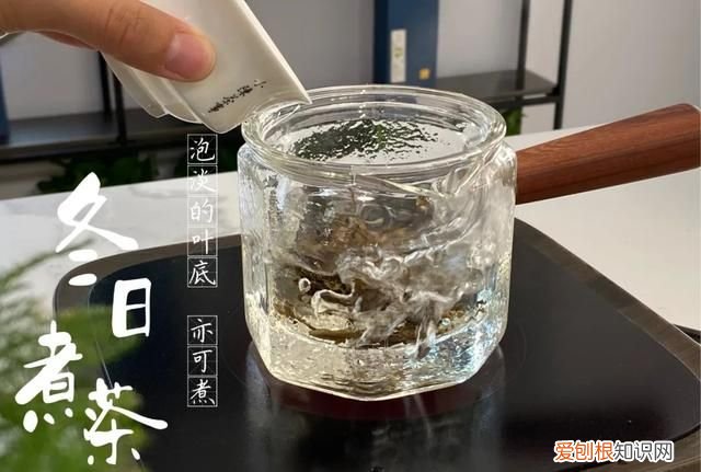 煮老白茶哪种壶最好