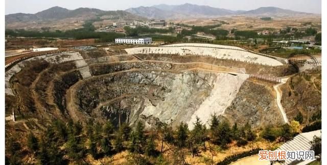 石头家族的龙族 石头大家族