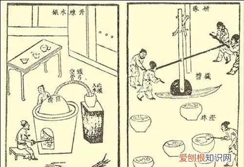 石头家族的龙族 石头大家族