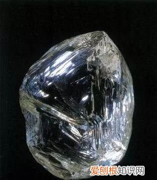 石头家族的龙族 石头大家族