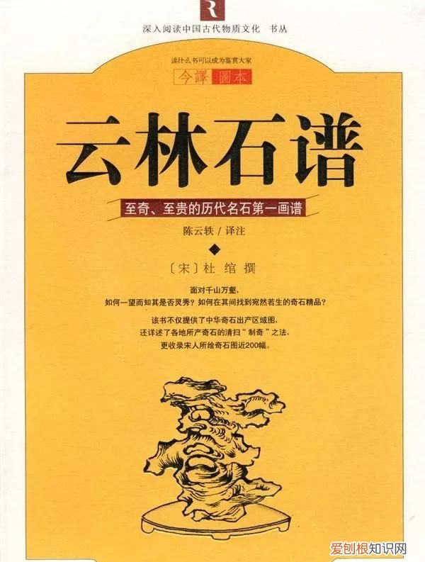 石头家族的龙族 石头大家族