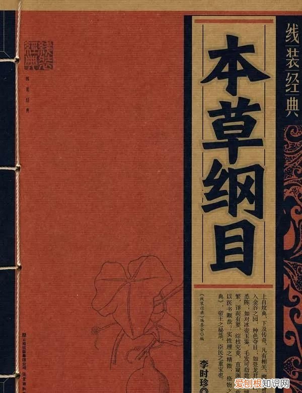 石头家族的龙族 石头大家族