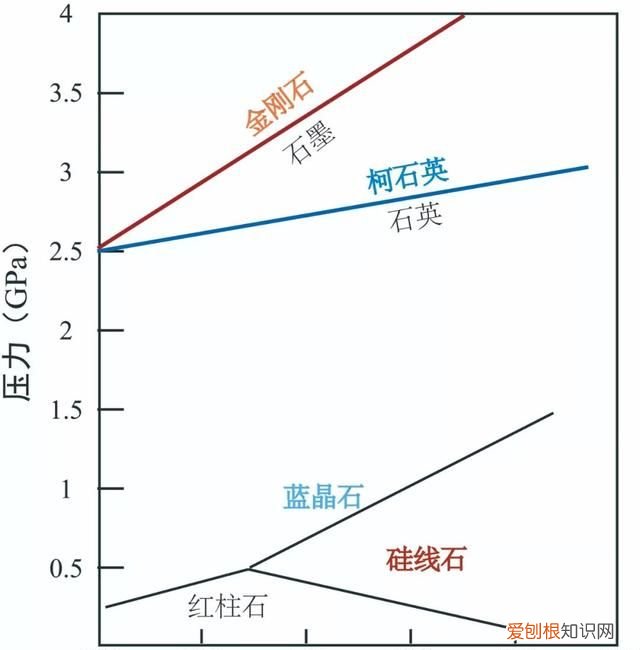 石头家族的龙族 石头大家族