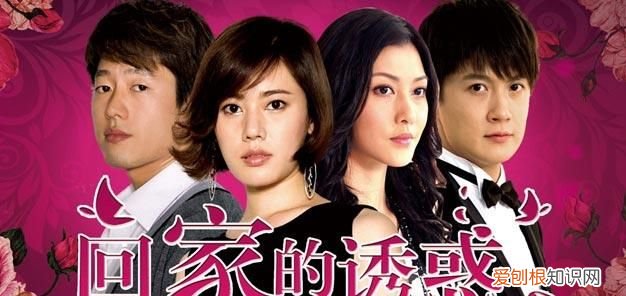 林品如与罗子君,罗子君与林品如