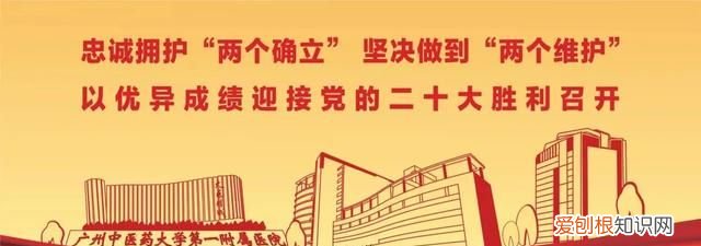 马齿苋瘦肉汤怎么做,孕妇能喝马齿苋瘦肉汤吗