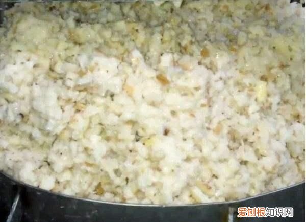 这几种常见水果,不仅人喜欢吃,鱼也喜欢吃的英文