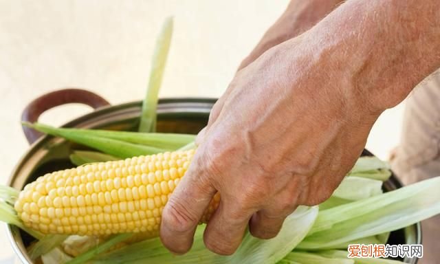 保存玉米水煮还是放冰箱,玉米中的黄曲霉素用水煮能消除吗