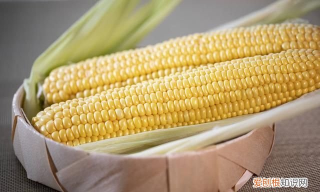 保存玉米水煮还是放冰箱,玉米中的黄曲霉素用水煮能消除吗