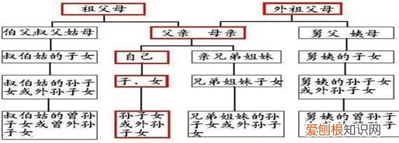 非直系亲属包括哪些人，非直系亲属车辆如何过户