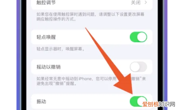 iphone怎么调静音模式震动，苹果手机怎么样才可以静音