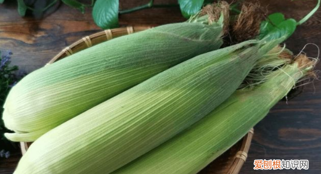 玉米放冰箱冷冻要怎么做比较新鲜