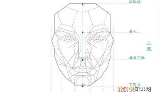 标准的脸型黄金比例，黄金比例脸型模板透明p图