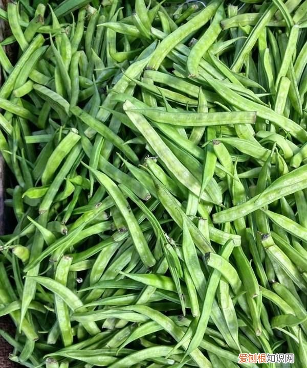 不焯水不能吃的五种蔬菜,许多人不知道,还傻傻的一直吃