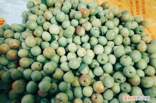 新鲜酸梅怎么腌制才会脆脆的呢