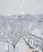 你走过是什么歌抖音，身上飘的雪,也走过是什么歌