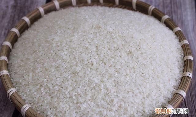 超市买的大米多长时间不会长虫