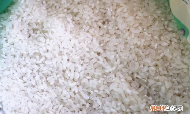 超市买的大米多长时间不会长虫