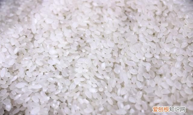 超市买的大米多长时间不会长虫