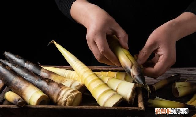 新鲜竹笋的处理方法,最近新鲜的竹笋怎么处理