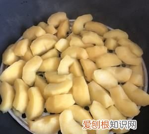 烤苹果干的做法,微波炉烤苹果干的做法窍门