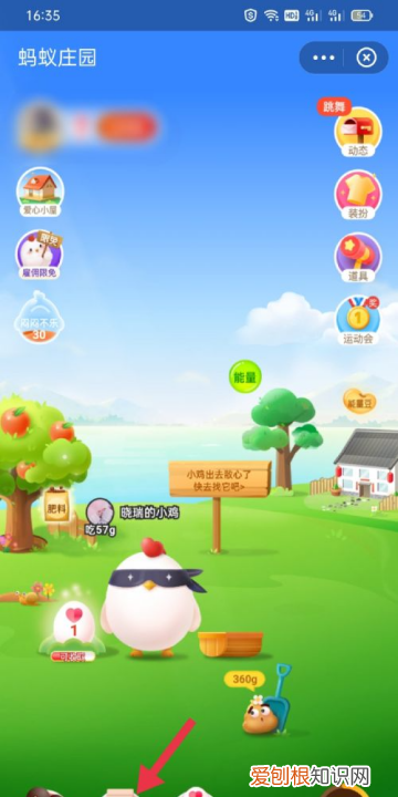 蚂蚁庄园上怎么才能领饲料，蚂蚁庄园怎么领取好友送的饲料