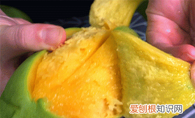 芒果小台芒香甜,芒果贵妃芒和小台芒