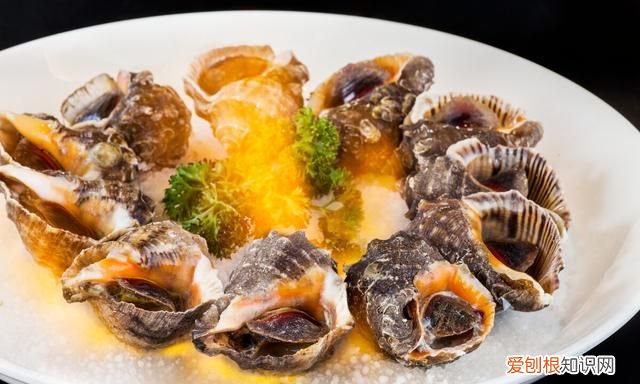 海螺一般要煮几分钟才没有寄生虫 海螺怎么烹饪能彻底杀死寄生虫