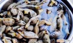 怎样分辨花蛤是否能吃,不开口的花蛤是死花蛤吗