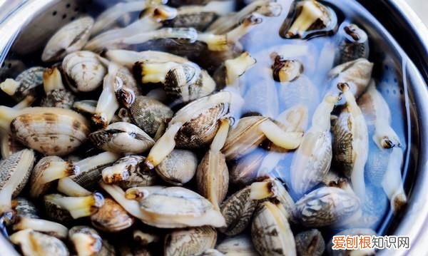 怎样分辨花蛤是否能吃,不开口的花蛤是死花蛤吗