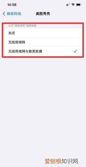 苹果手机文件怎么打开,苹果手机打开APP联网的方法