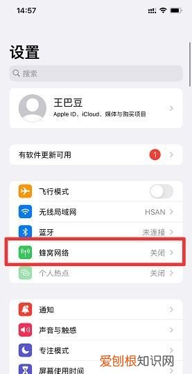 苹果手机文件怎么打开,苹果手机打开APP联网的方法