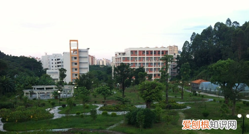 专插本可以报考什么学校，在广东专插本可以报考哪些学校