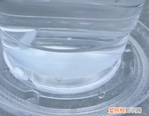 原来笔帽上的小孔也是救命孔