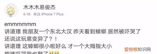 北方人遇到南方蟑螂的奇葩事,当北方蟑螂遇到南方蟑螂配音