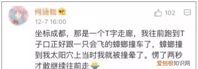 北方人遇到南方蟑螂的奇葩事,当北方蟑螂遇到南方蟑螂配音