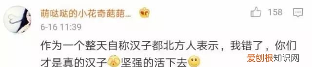 北方人遇到南方蟑螂的奇葩事,当北方蟑螂遇到南方蟑螂配音