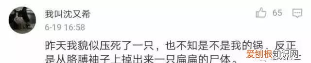 北方人遇到南方蟑螂的奇葩事,当北方蟑螂遇到南方蟑螂配音