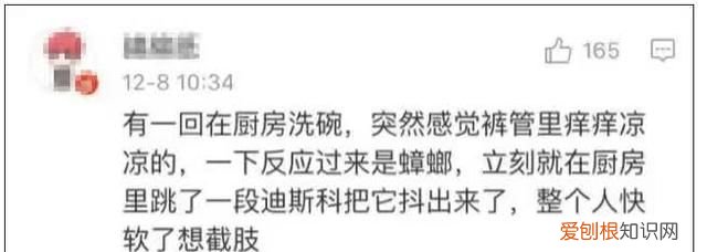 北方人遇到南方蟑螂的奇葩事,当北方蟑螂遇到南方蟑螂配音