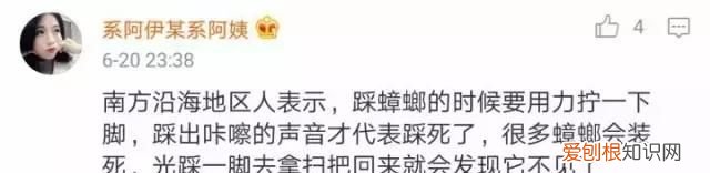 北方人遇到南方蟑螂的奇葩事,当北方蟑螂遇到南方蟑螂配音