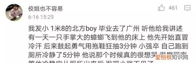 北方人遇到南方蟑螂的奇葩事,当北方蟑螂遇到南方蟑螂配音