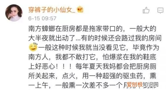 北方人遇到南方蟑螂的奇葩事,当北方蟑螂遇到南方蟑螂配音