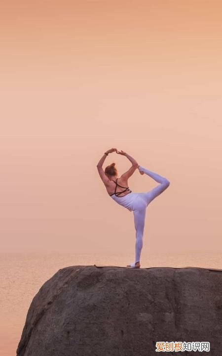 掌珠之喜什么意思，文定之喜是什么意思