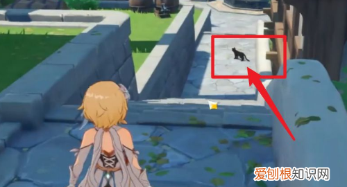 原神小王子寻找任务怎么做，《原神》中小王子的黑猫在哪里找到