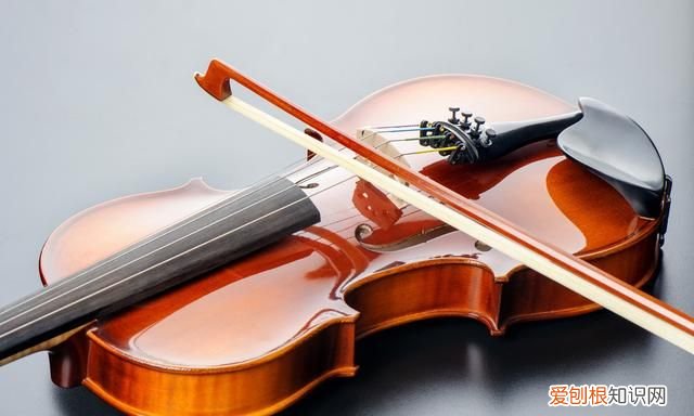 超全的西洋乐器名称及简介,音乐西洋乐器有哪些名称