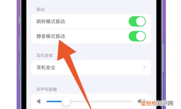 苹果手机应该如何静音，苹果手机怎么调静音模式