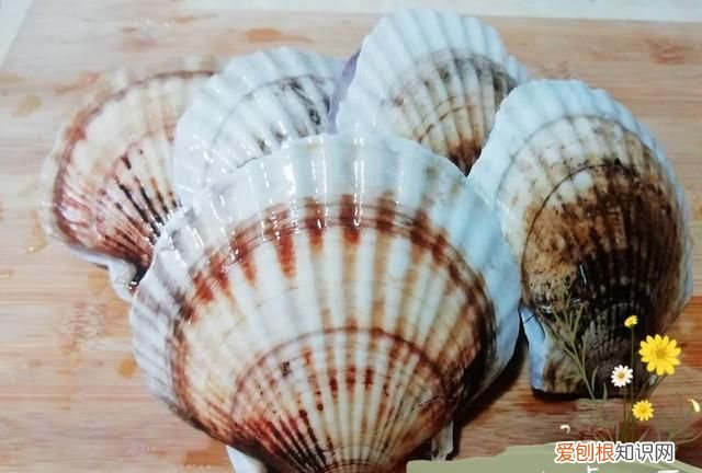 元贝没有贝壳怎么做 蒜蓉粉丝元贝一般蒸多少分钟