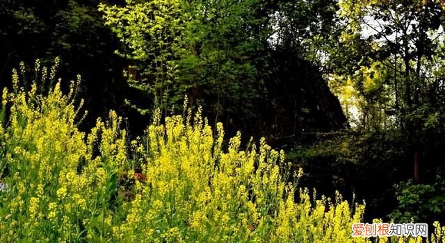 四次工业革命的发展历程,四次工业革命标志性事件